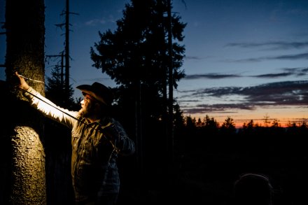 Czyste Beskidy Festiwal 2025